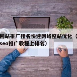 SEO网站推广排名快速网络整站优化（网站优化seo推广教程上排名）