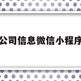 公司信息微信小程序(公司信息微信小程序有哪些)