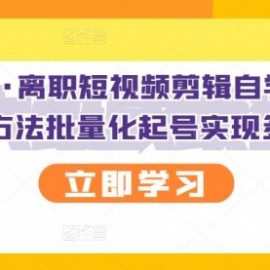 离职短视频剪辑自学课程，可复制技术方法批量化起号实现多账号收益