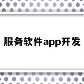 服务软件app开发(app服务器软件开发)