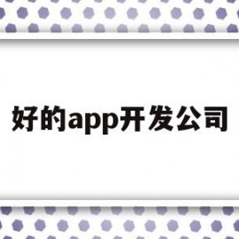 好的app开发公司(好的app开发公司有哪些)