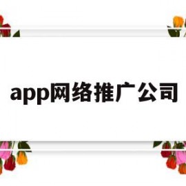 app网络推广公司(网络 推广 公司)