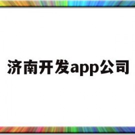 济南开发app公司(济南开发app公司地址)