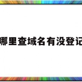 哪里查域名有没登记(哪里查域名有没登记过)