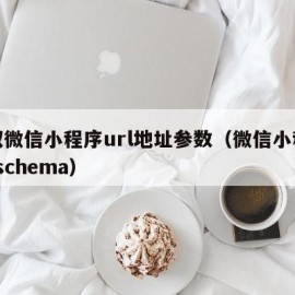 获取微信小程序url地址参数（微信小程序urlschema）