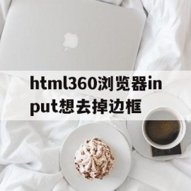 html360浏览器input想去掉边框的简单介绍