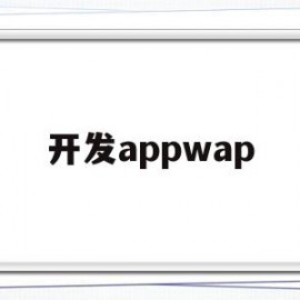 开发appwap(开发APP的软件)