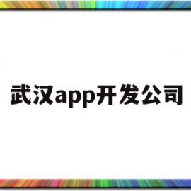 武汉app开发公司(武汉APP开发公司排行榜云鲸互创信任)