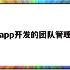 app开发的团队管理(app的团队管理模式)