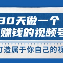 30天做一个能赚钱的视频号，从0-1打造属于你自己的视频号 (14节-价值199)