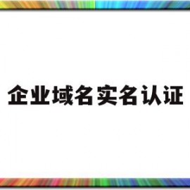 企业域名实名认证(企业域名实名认证查询)