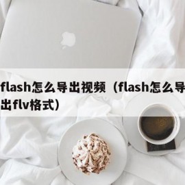 flash怎么导出视频（flash怎么导出flv格式）