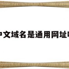 中文域名是通用网址吗的简单介绍