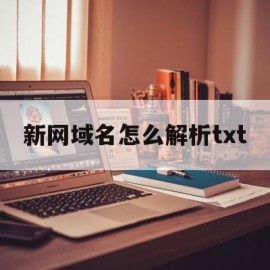 关于新网域名怎么解析txt的信息