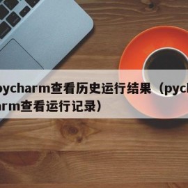 pycharm查看历史运行结果（pycharm查看运行记录）