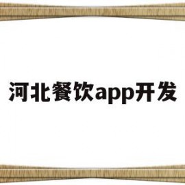 河北餐饮app开发(河北餐饮app开发公司)