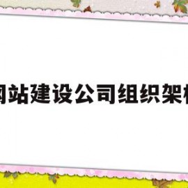 网站建设公司组织架构(公司网站建设是哪个部门的事情?)