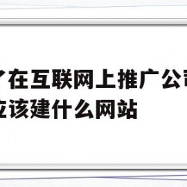 为了在互联网上推广公司产品应该建什么网站(为了在互联网上推广公司产品应该建什么网站呢)