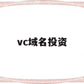 vc域名投资(域名投资如何玩)