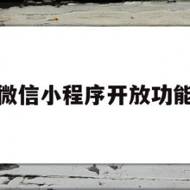 微信小程序开放功能(微信小程序开发者权限开通教程)