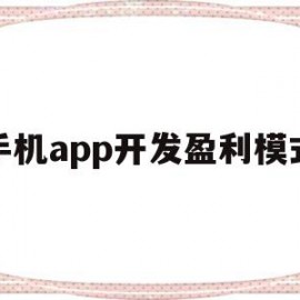 手机app开发盈利模式(手机app开发盈利模式是什么)