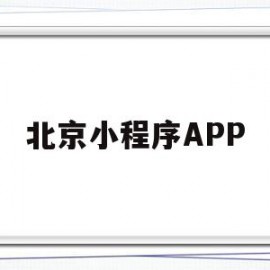 北京小程序APP(北京小程序定制多少钱)