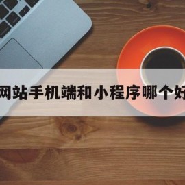 网站手机端和小程序哪个好(小程序和app和网页有什么区别)