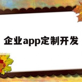 企业app定制开发(企业app定制开发流程)