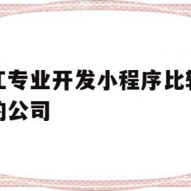 包含浙江专业开发小程序比较权威的公司的词条