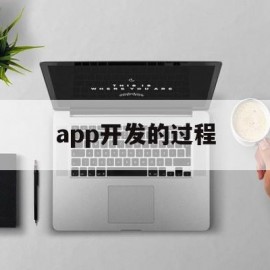 app开发的过程(app开发的几种方式)