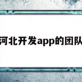 河北开发app的团队(河北开发app的团队怎么样)