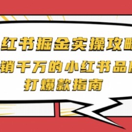 小红书掘金实操攻略，年销千万的小红书品牌打爆款指南