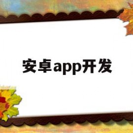 安卓app开发(安卓app开发平台)