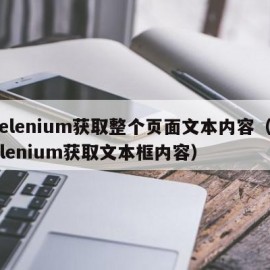 selenium获取整个页面文本内容（selenium获取文本框内容）