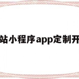 网站小程序app定制开发(网站小程序app定制开发流程)