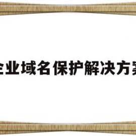 企业域名保护解决方案(企业域名保护解决方案怎么写)