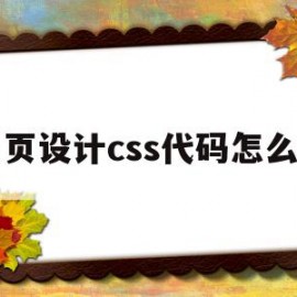 网页设计css代码怎么加(网页设计css代码怎么加图片)