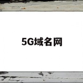 5G域名网(5g域名解析)