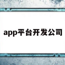 app平台开发公司(开发app的公司叫什么)