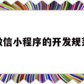 微信小程序的开发规范(微信小程序的开发流程并简述)