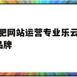 合肥网站运营专业乐云seo品牌的简单介绍