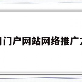 使用门户网站网络推广方法(使用门户网站网络推广方法有哪些)