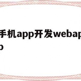 手机app开发webapp(手机App开发软件重启后禁用返回键)