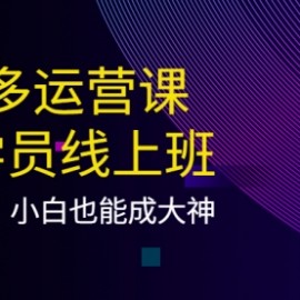 拼多多运营课：超级学员线上班，21天蜕变，小白也能成大神