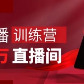 打造百万销售直播间 教会你如何直播带货，抓住直播大风口