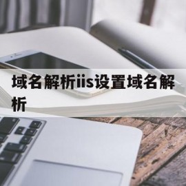 包含域名解析iis设置域名解析的词条