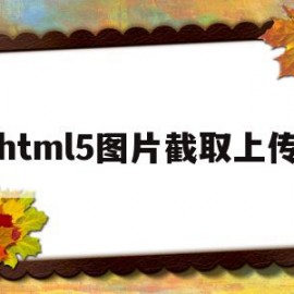 html5图片截取上传的简单介绍