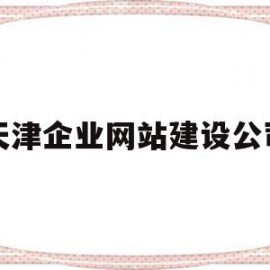 天津企业网站建设公司(天津企业网站建设公司排名)