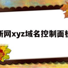 新网xyz域名控制面板(新网域名自助)