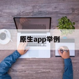 原生app举例(原生app用什么开发)